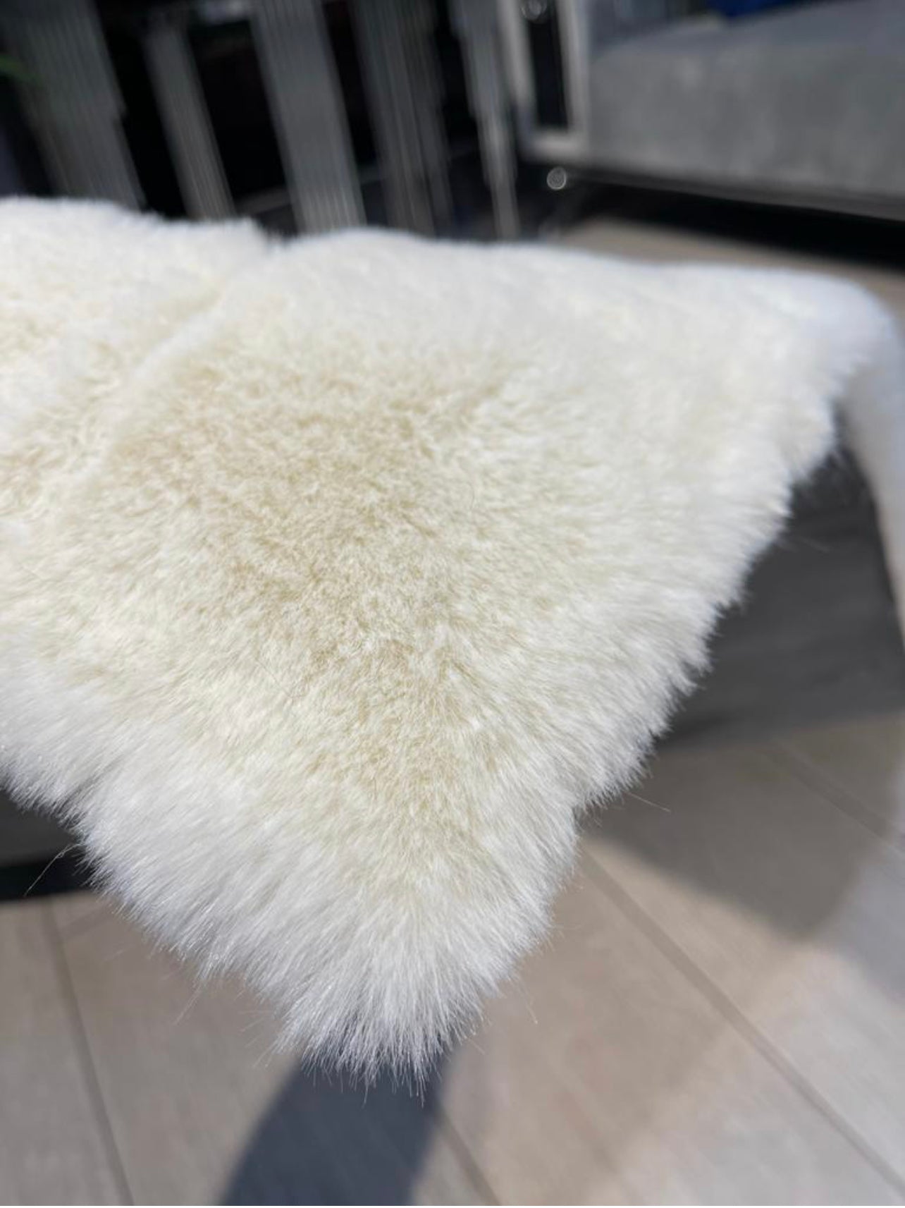 White with Black Trim Versace Rug