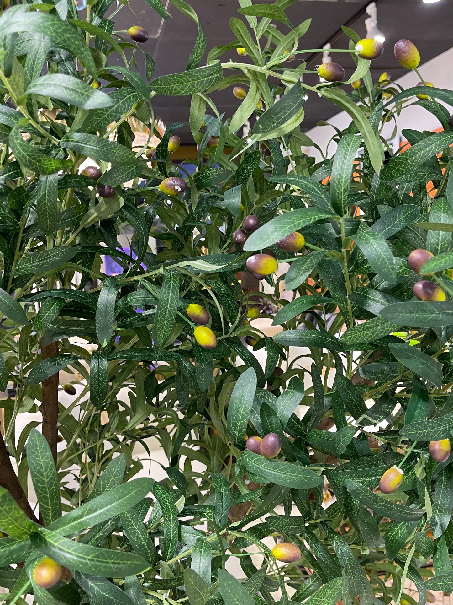 Green persimmon Artificial Plant