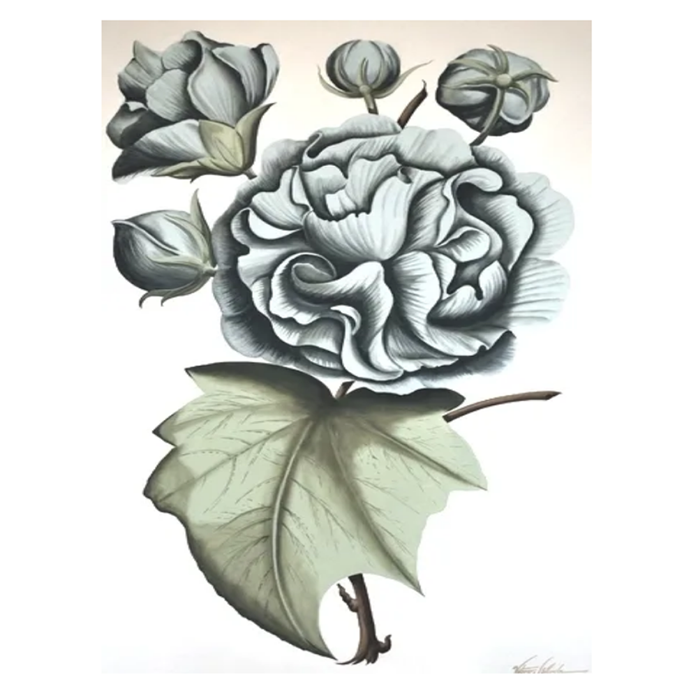 Peony II - Size 36"X60"