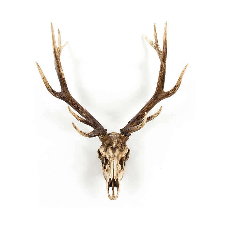 Deer Skull Wall Decor