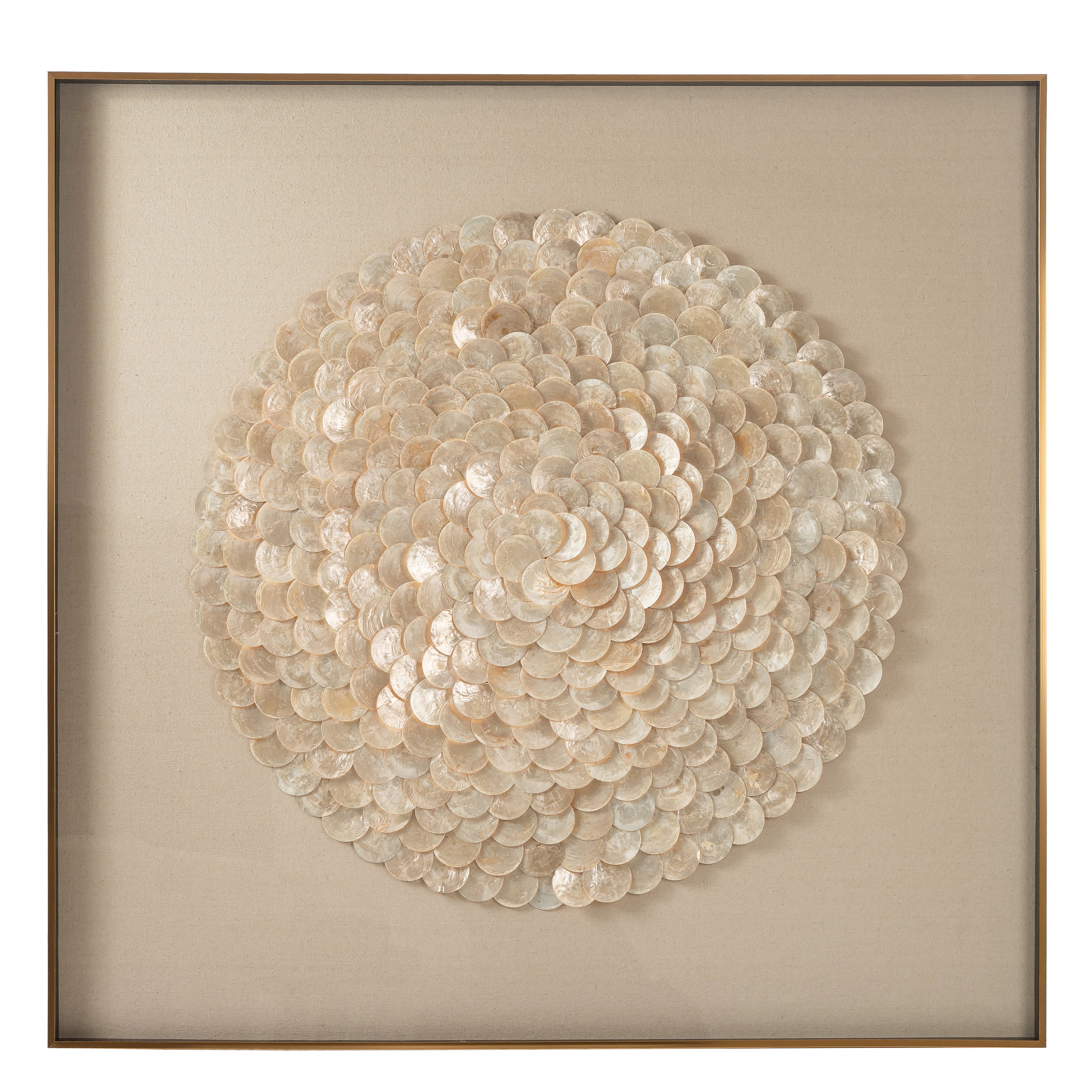 Shell Bloom Framed Wall Art
