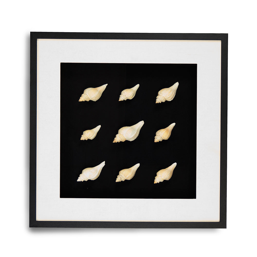 Abstract Shell Art