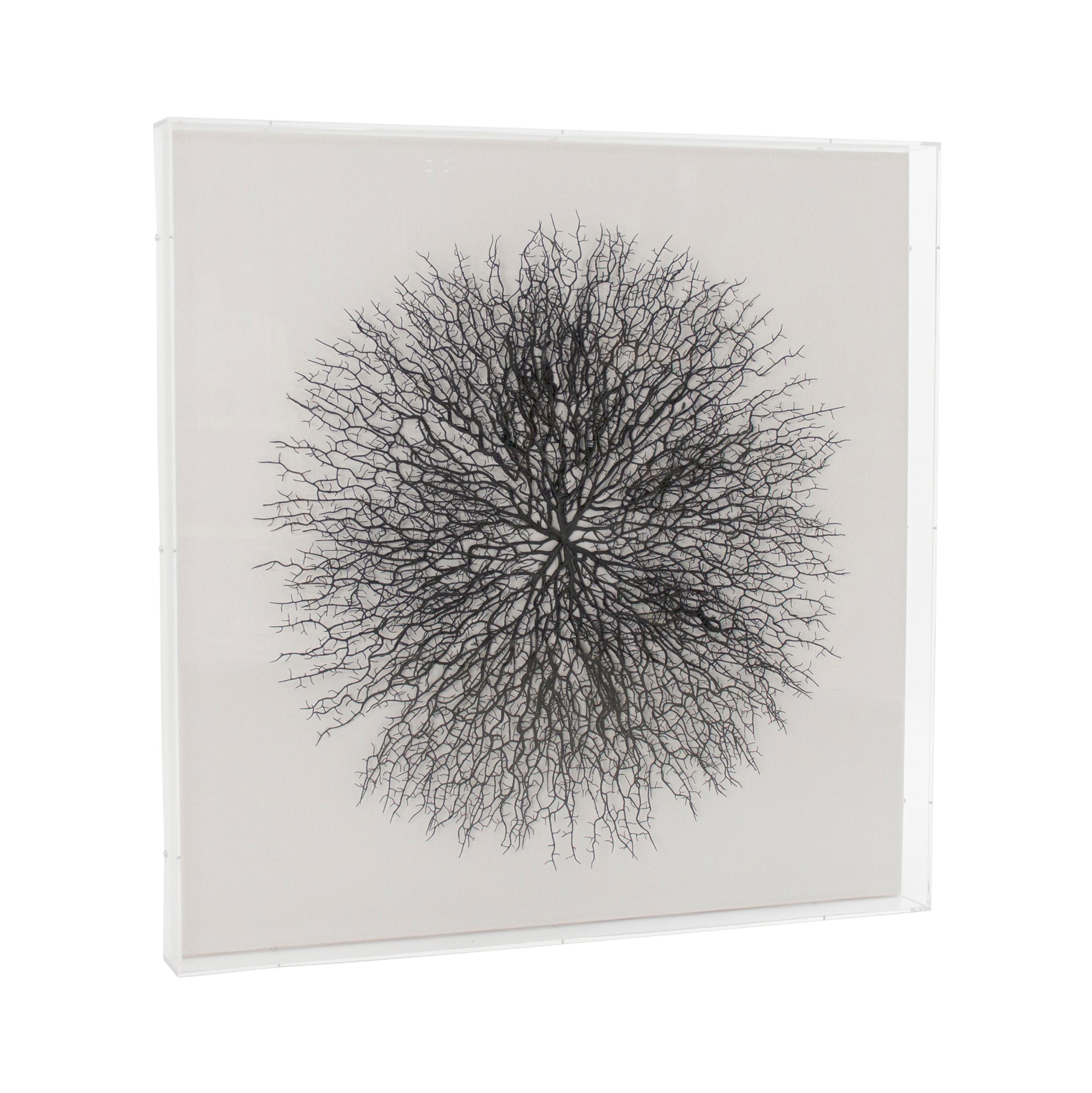 Abstract Branches in Acrylic Wall Art