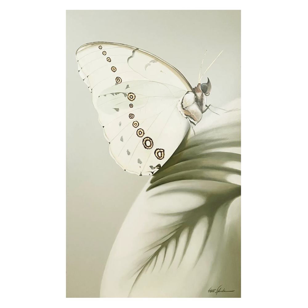 Moth l - Size 36"X60"