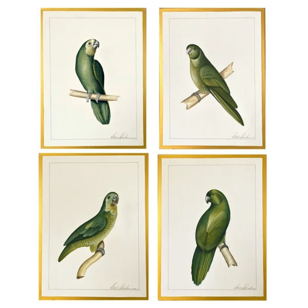 Parrot - Set of 4 - Size 18"X24" Each parrot