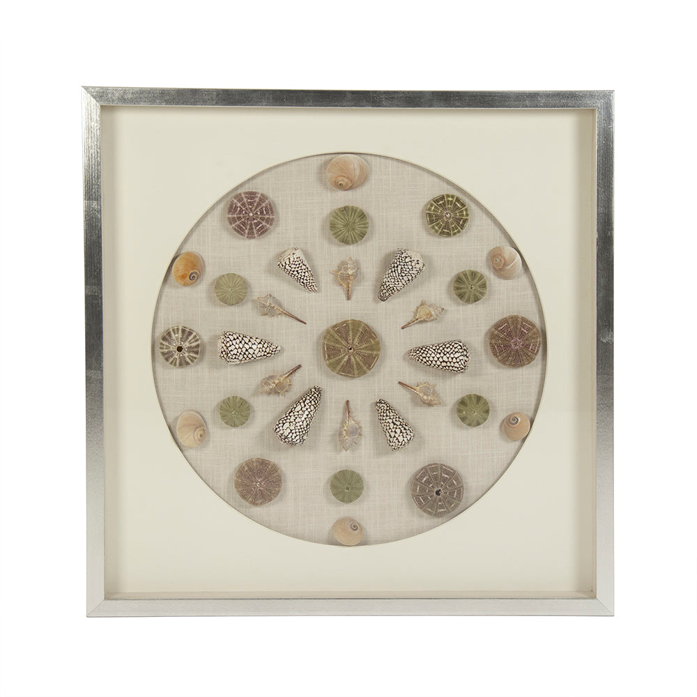 Abstract Shell Wall Art